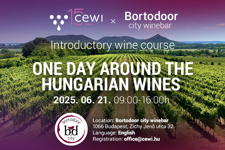 CEWI & Bortodoor city wine bar Alapozó borismereti kurzus