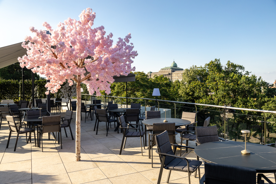 Sunhill Bistro and Skybar